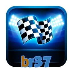 br37